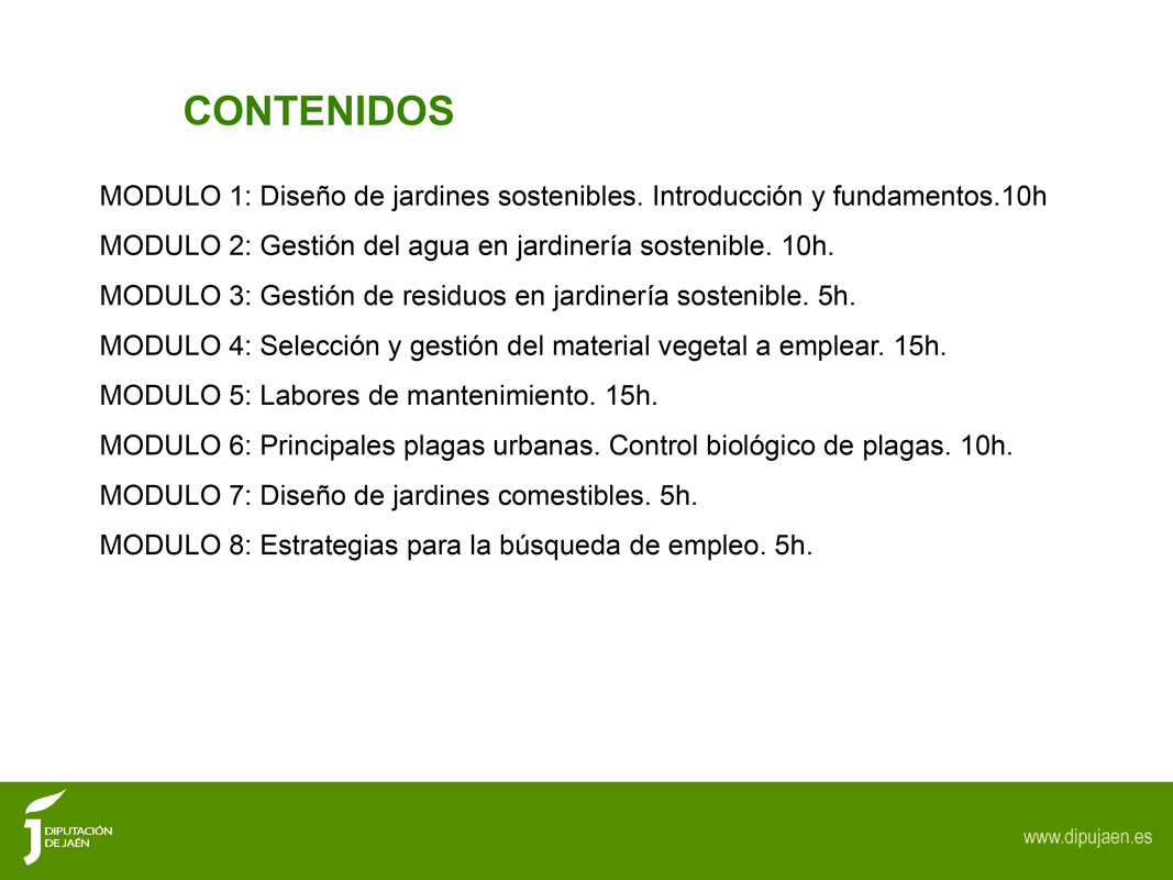 PPT AYUNTAMIENTOS 6