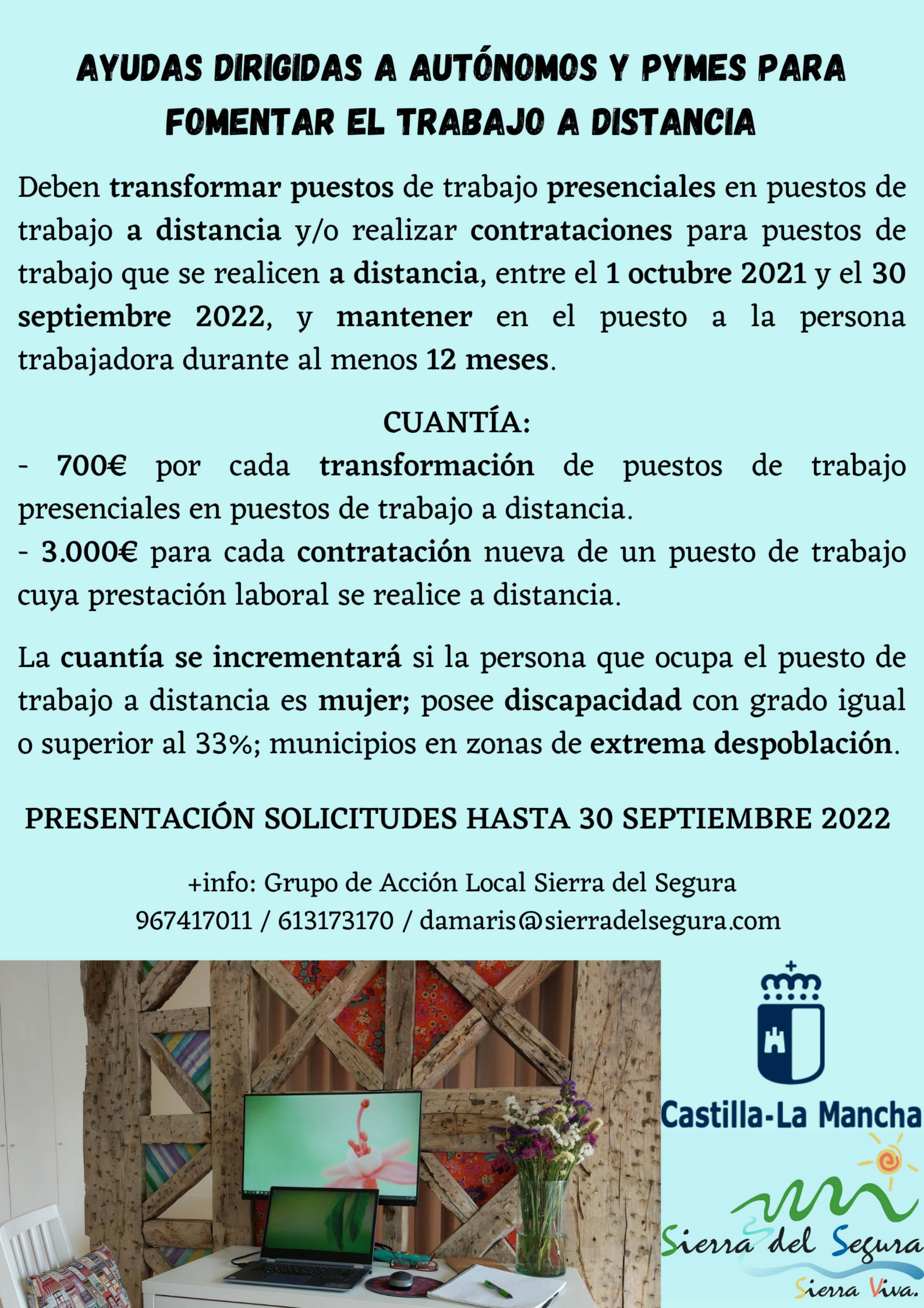 1 Ayudas dirigidas a autónomos y pymes para fomentar el trabajo a distancia