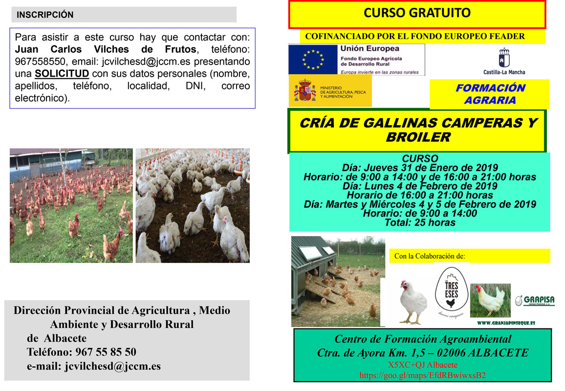 Gallinas Camperas 1